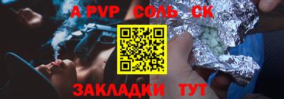 индика Гатчина