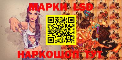 индика Гатчина