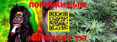 индика Гатчина