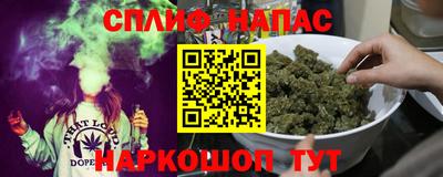 сатива Гагарин