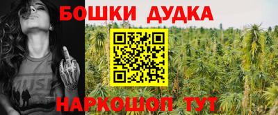индика Гатчина
