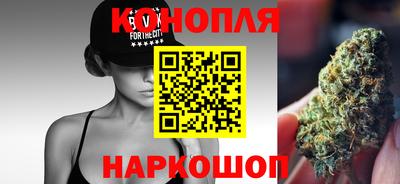 сатива Гагарин