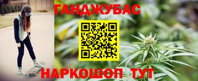 индика Гатчина