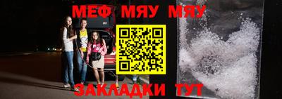 индика Гатчина